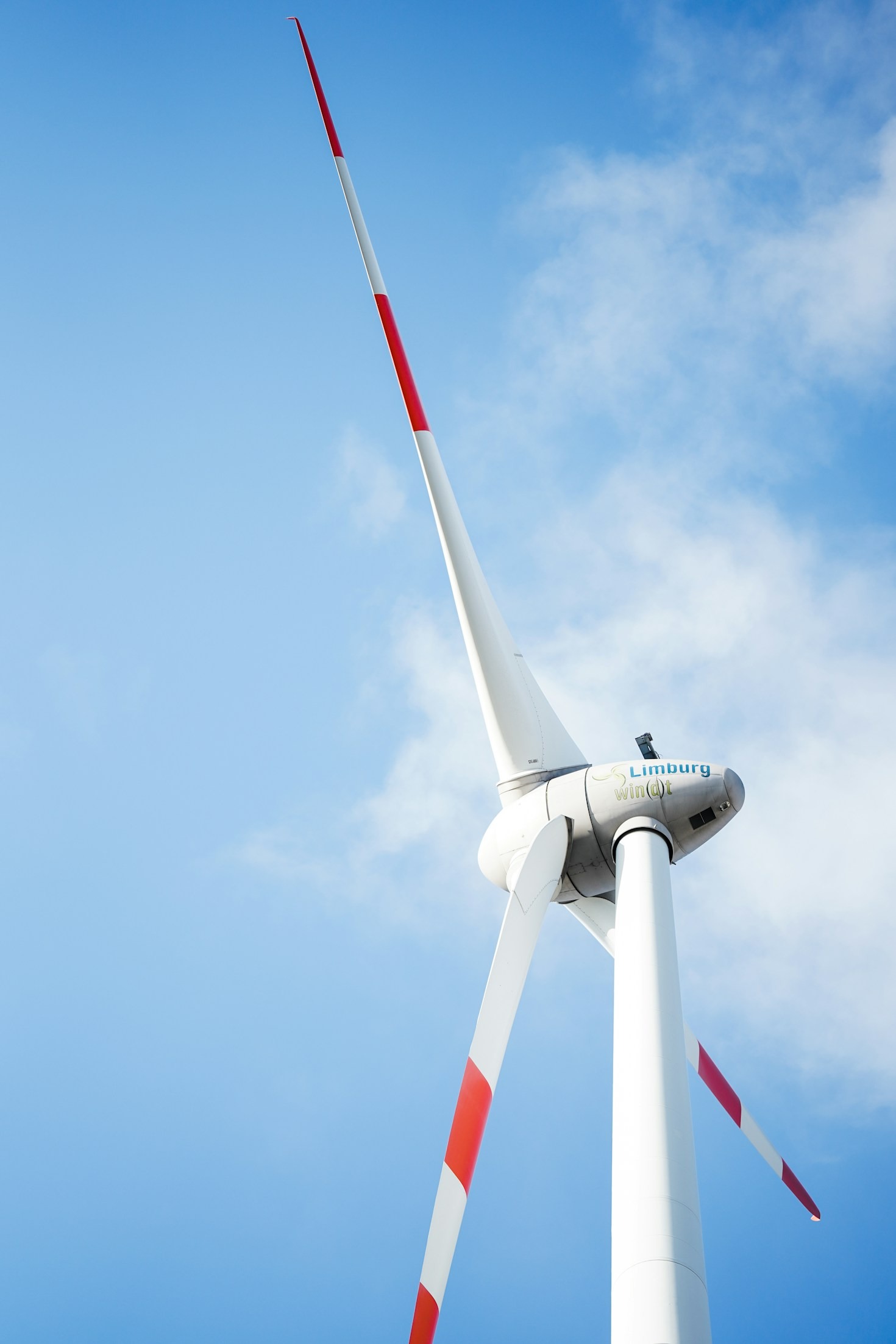 Korzyści z sieciowania w branży energetyki wiatrowej